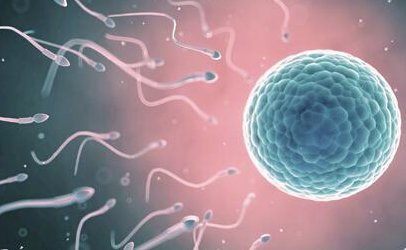 2026宁夏银川正规助孕公司排名公布，这5家性价比较高