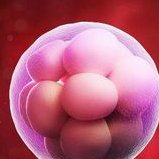 2026常州十大正规助孕公司机构大盘点（助孕精选笔记）