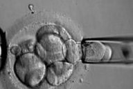 2026年上海市助孕公司最新排名，前十名联系方式一览