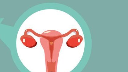 2026大连十佳助孕公司名单，每家都各有特点和优势