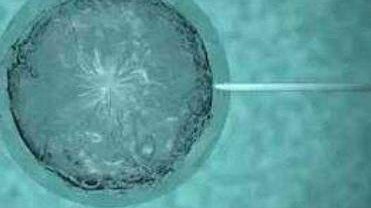 2026吉林试管医院排名前十揭晓，同步推荐试管生育医疗机构